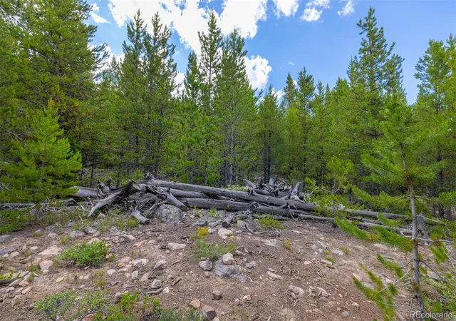 11th image of 517 Giberson Rd, Frisco, CO 80443 | MLS# 9238863