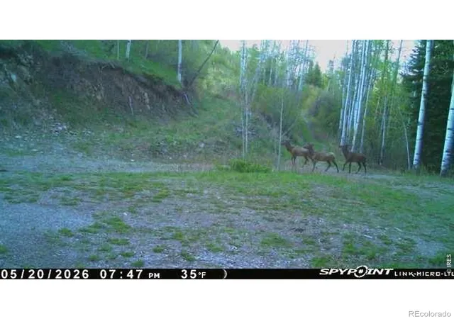 Photo 3 of Land for sale at (Undisclosed), Parshall, CO 80468 | MLS# IR1066581 | Listing updated on 2026-08-17