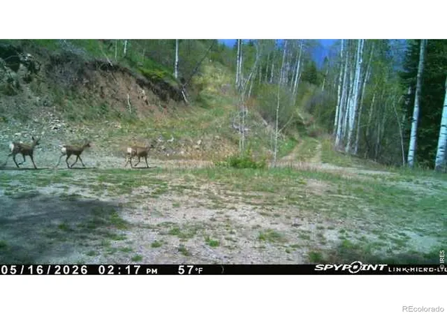 Photo 4 of Land for sale at (Undisclosed), Parshall, CO 80468 | MLS# IR1066581 | Listing updated on 2026-08-17