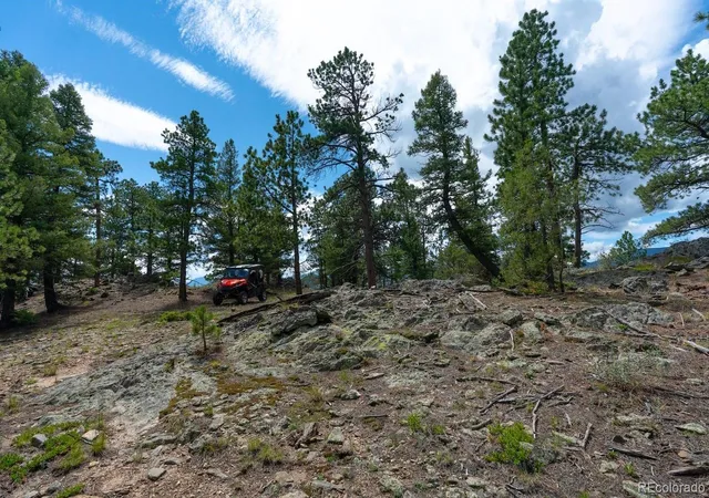 43rd image of 150 Summit Dr, Bailey, CO 80421 | MLS# 3939994