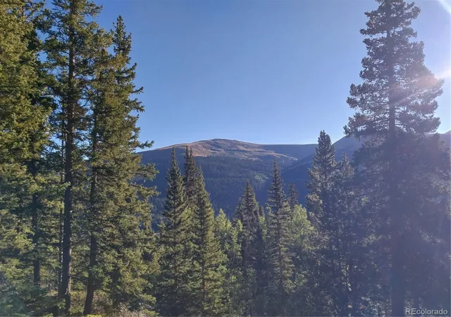 5th image of 1062 Roberts Rd, Alma, CO 80420 | MLS# 4407196