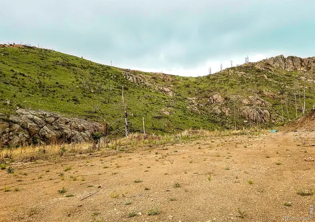 1st image of 151 Black Mountain Ct, Livermore, CO 80536 | MLS# IR1066605