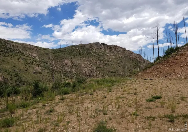 2nd image of 151 Black Mountain Ct, Livermore, CO 80536 | MLS# IR1066605