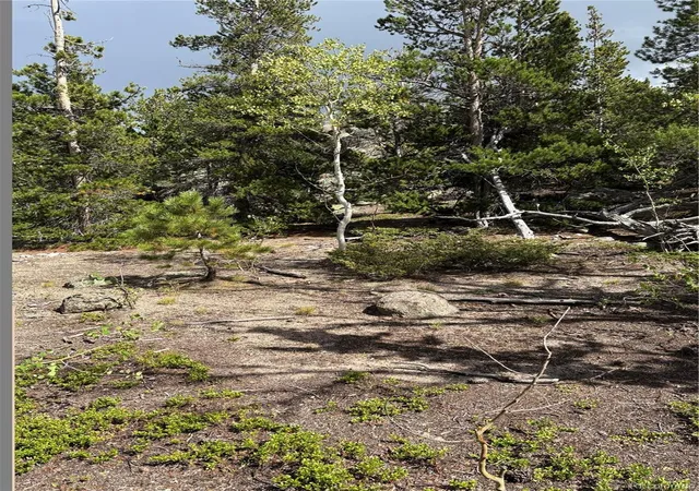 Photo 3 of Land for sale at 850 Lupine Pl, Black Hawk, CO 80422 | MLS# 4841326 | Listing updated on 2026-09-23