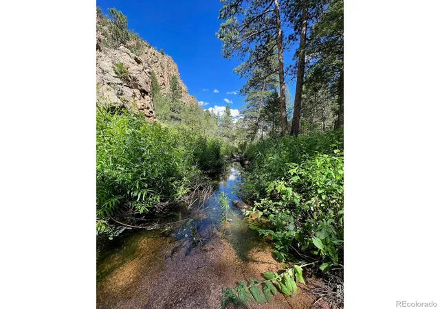 3rd image of 524 Jackelope Ln, Livermore, CO 80536 | MLS# IR1066619
