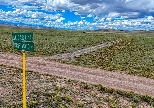 4th image of 551 Sugar Pine Ln, Hartsel, CO 80449 | MLS# 9030858