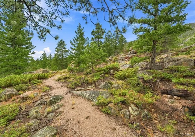 50th image of 78 Wenro Ct, Red Feather Lakes, CO 80545 | MLS# 5096364