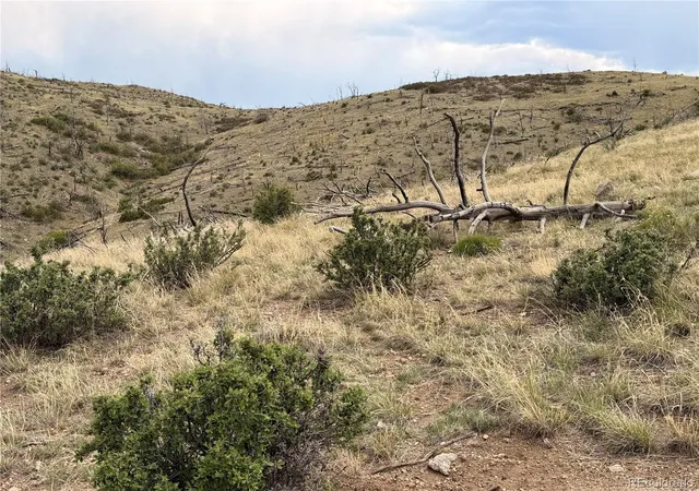 Photo 3 of Land for sale at 000 Cr 15x, Cotopaxi, CO 81223 | MLS# 9902956 | Listing updated on 2026-09-23