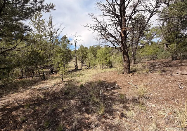 Photo 4 of Land for sale at 000 41st Trail, Cotopaxi, CO 81223 | MLS# 7315164 | Listing updated on 2026-09-23