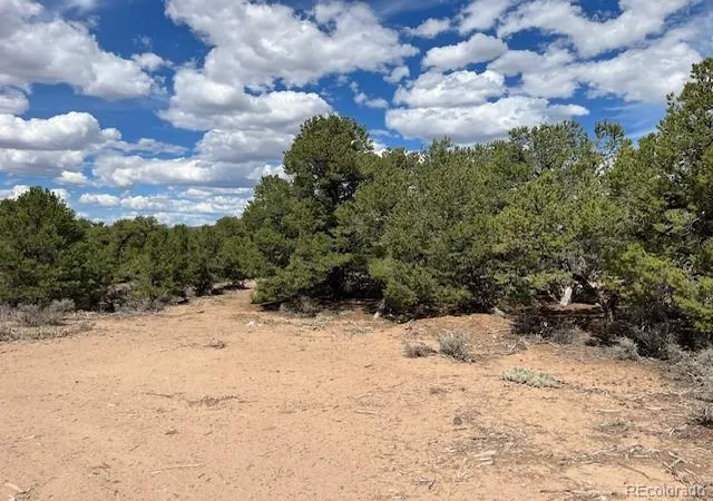 Photo 2 of Land for sale at Lot 8 Coyote Ct, San Luis, CO 81152 | MLS# 5953155 | Listing updated on 2026-08-18