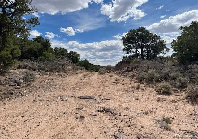 Photo 4 of Land for sale at Lot 8 Coyote Ct, San Luis, CO 81152 | MLS# 5953155 | Listing updated on 2026-08-18