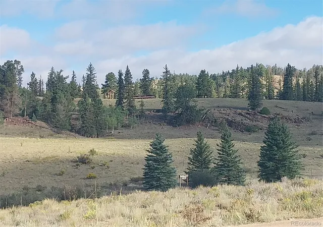 image of 1167 Latigo Loop, Hartsel, CO 80449 | MLS# 4162257