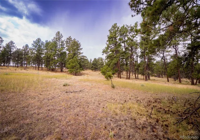 21st image of 30500 Magic Dog Cir, Kiowa, CO 80117 | MLS# 8969884