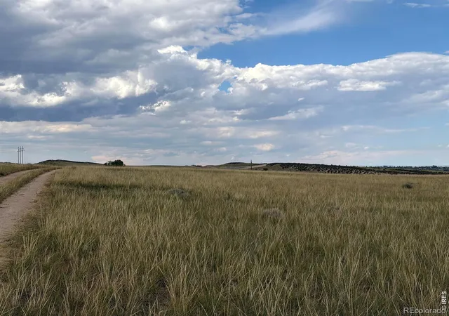 3rd image of Niobara Ridge Rd, Laporte, CO 80535 | MLS# IR1066657