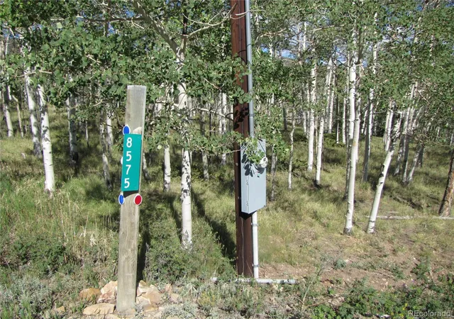 Photo 37 of Single family home for sale at 8575 Ranch Rd, Hartsel, CO 80449 | MLS# 8877106 | Listing updated on 2026-08-18