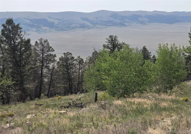 1st image of Lot 525 Middle Fork Vis, Fairplay, CO 80440 | MLS# 5379710