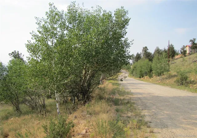 19th image of Lot 525 Middle Fork Vis, Fairplay, CO 80440 | MLS# 5379710