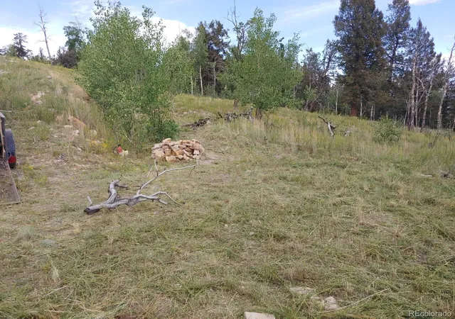 2nd image of Lot 525 Middle Fork Vis, Fairplay, CO 80440 | MLS# 5379710