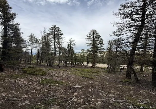 19th image of 2689 Redhill Rd, Fairplay, CO 80440 | MLS# 4802475