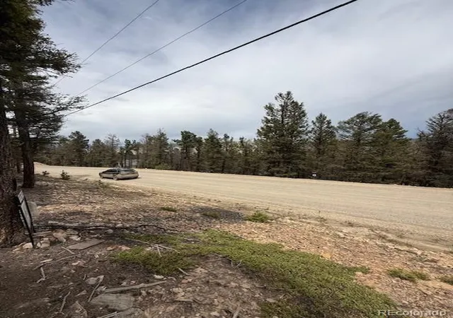 3rd image of 2689 Redhill Rd, Fairplay, CO 80440 | MLS# 4802475
