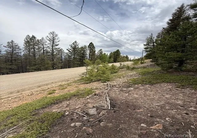 4th image of 2689 Redhill Rd, Fairplay, CO 80440 | MLS# 4802475