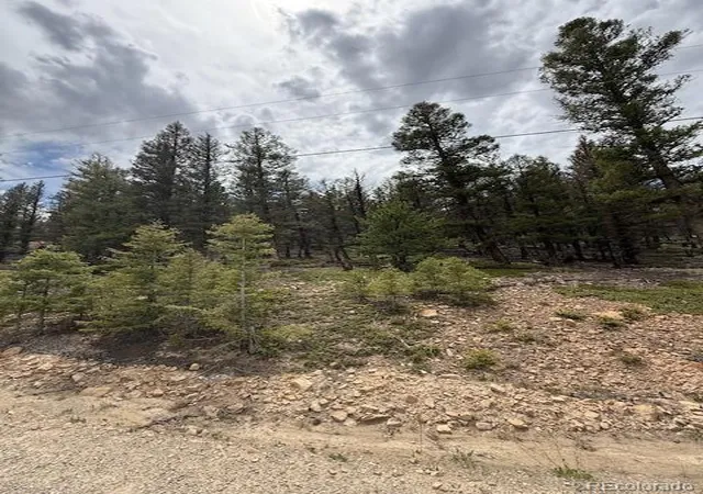5th image of 2689 Redhill Rd, Fairplay, CO 80440 | MLS# 4802475