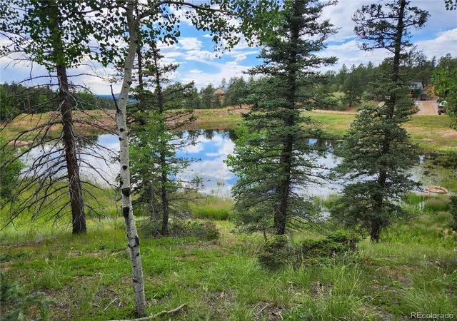 1st image of 1076 Spring Valley Ln, Florissant, CO 80816 | MLS# 7738364