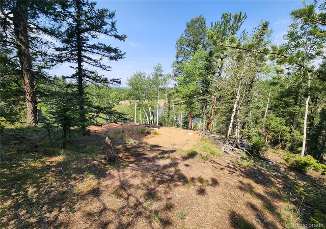44th image of 1076 Spring Valley Ln, Florissant, CO 80816 | MLS# 7738364