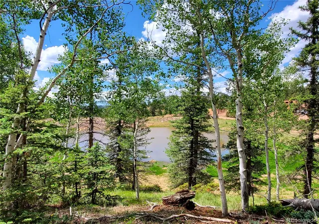Photo 4 of Land for sale at 1076 Spring Valley Ln, Florissant, CO 80816 | MLS# 7738364 | Listing updated on 2026-10-07