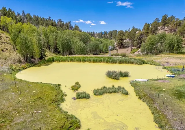 50th image of 242 Poplar Ln, Guffey, CO 80820 | MLS# 8445967