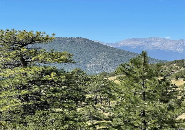 Photo 3 of Single family home for sale at 29355 Cr 305, Buena Vista, CO 81211 | MLS# 5413286 | Listing updated on 2026-09-21