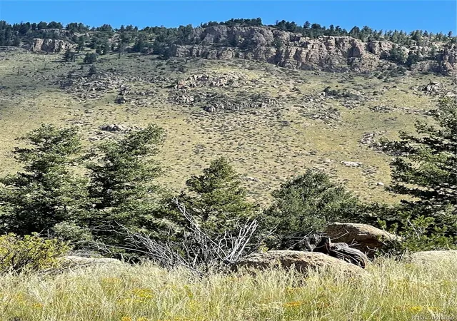 Photo 3 of Single family home for sale at 29355 Cr 305, Buena Vista, CO 81211 | MLS# 5413286 | Listing updated on 2026-10-07