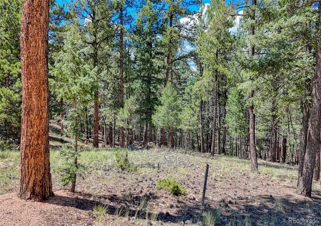 22nd image of 105 Carlton Cir, Florissant, CO 80816 | MLS# 8357469