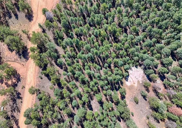 Photo 4 of Land for sale at 105 Carlton Cir, Florissant, CO 80816 | MLS# 8357469 | Listing updated on 2026-08-20