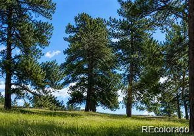 10th image of 2 Forest Rim, Aurora, CO 80016 | MLS# 6778602