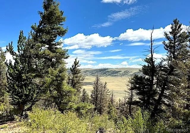 1st image of 2022 Middle Fork Vis, Fairplay, CO 80440 | MLS# 5139744