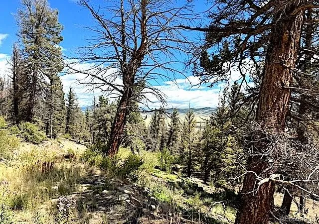 14th image of 2022 Middle Fork Vis, Fairplay, CO 80440 | MLS# 5139744