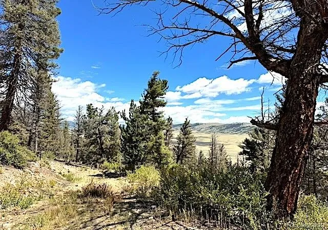 2nd image of 2022 Middle Fork Vis, Fairplay, CO 80440 | MLS# 5139744