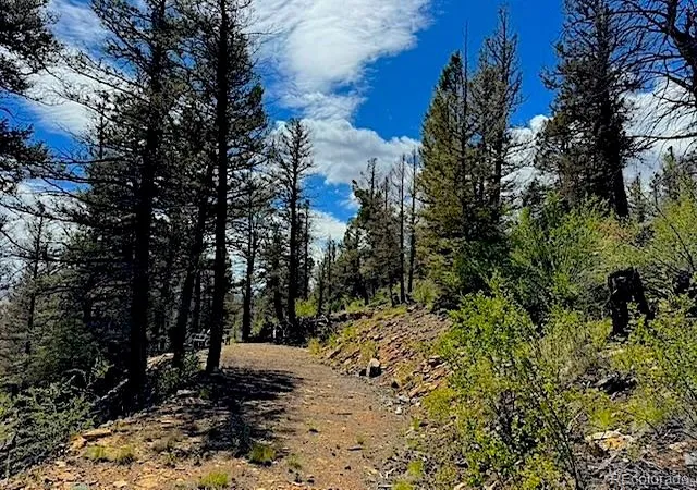 Photo 3 of Land for sale at 2022 Middle Frk Vista, Fairplay, CO 80440 | MLS# 5139744 | Listing updated on 2026-08-18