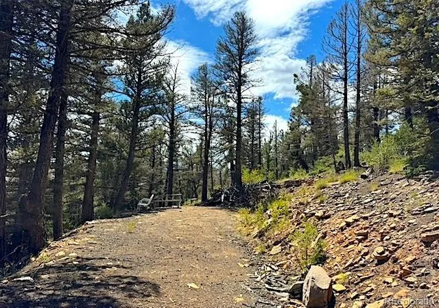 Photo 4 of Land for sale at 2022 Middle Frk Vista, Fairplay, CO 80440 | MLS# 5139744 | Listing updated on 2026-08-18