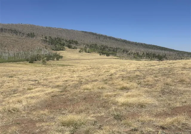 Photo 2 of Land for sale at 2343 Sigler Dr, Fort Garland, CO 81133 | MLS# 6777413 | Listing updated on 2026-08-19