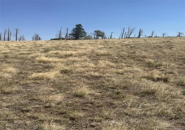 Photo 5 of Land for sale at 2343 Sigler Dr, Fort Garland, CO 81133 | MLS# 6777413 | Listing updated on 2026-08-19