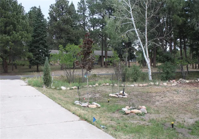 43rd image of 1350 Woodmoor Dr, Monument, CO 80132 | MLS# 2961615