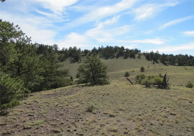 2nd image of 227 Keechi Rd, Hartsel, CO 80449 | MLS# 5202915