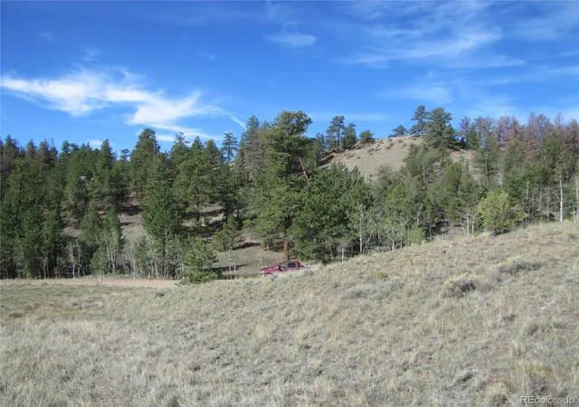 3rd image of 227 Keechi Rd, Hartsel, CO 80449 | MLS# 5202915