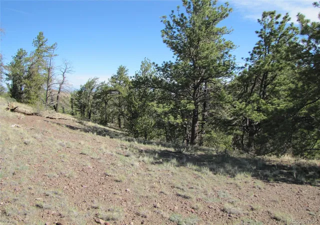 4th image of 227 Keechi Rd, Hartsel, CO 80449 | MLS# 5202915