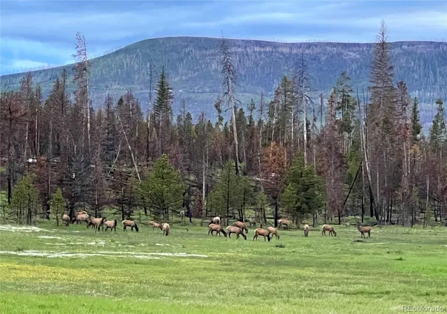 47th image of 34 Grand County Road 4948, Grand Lake, CO 80447 | MLS# 9520924
