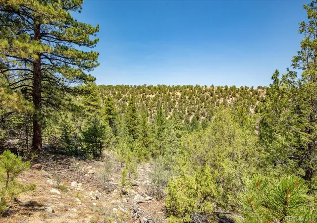 26th image of 000 Tbd Kiowa Rd, Salida, CO 81201 | MLS# 5598025