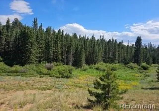 1st image of 1164 Arapahoe Creek Trl, Florissant, CO 80816 | MLS# 9731267