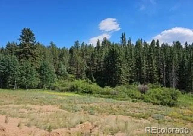 2nd image of 1164 Arapahoe Creek Trl, Florissant, CO 80816 | MLS# 9731267